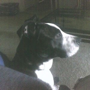 Meet your Posher, Tamika